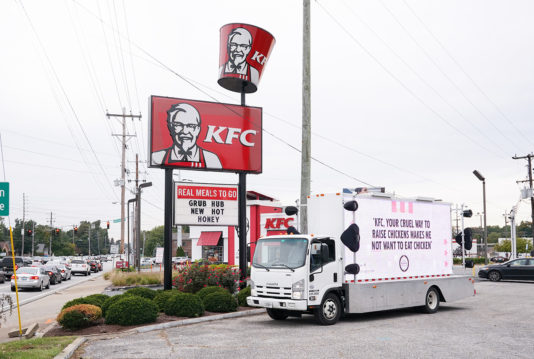 Taking on Colonel Sanders