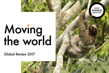 Global review 2019