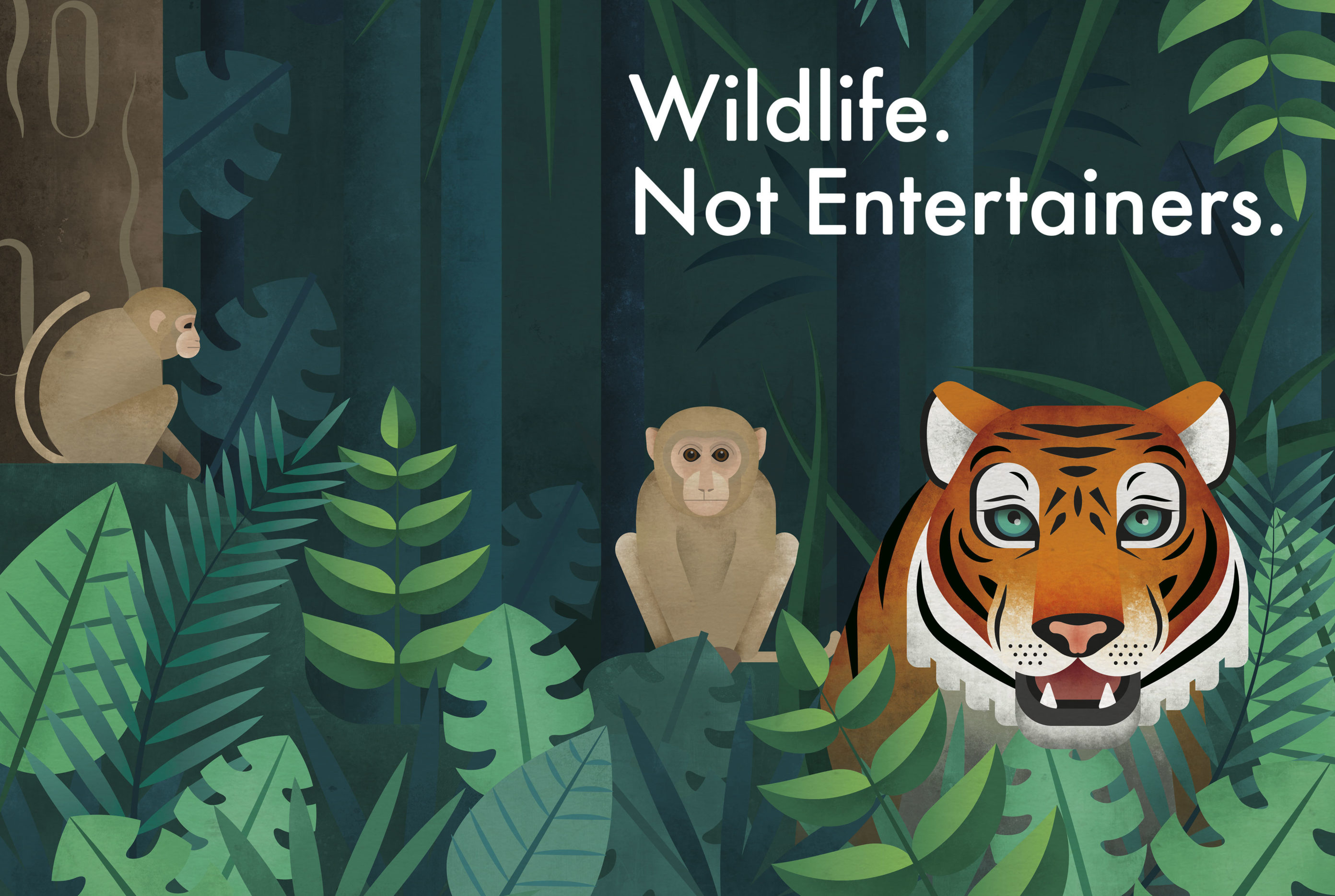 Wap Wildlife Not Entertainers Large Image 1400x940 3