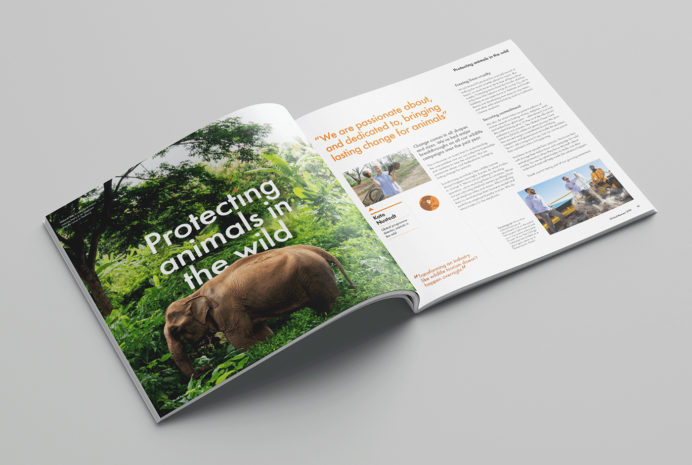 5798 Wap Annual Global Impacts 1400X940 Print 02