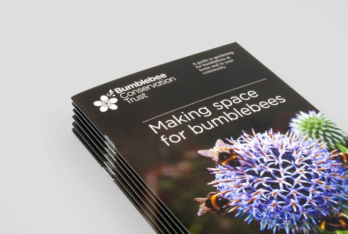 BBCT Brochure 01 1400
