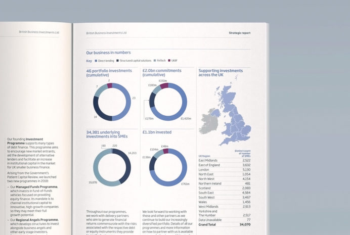 Bbi Annual Report 2019 Infographic 1 0 Selective Colour