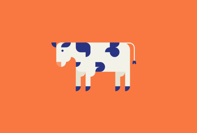 Cfo 1400Px 940Px Cow Illustration