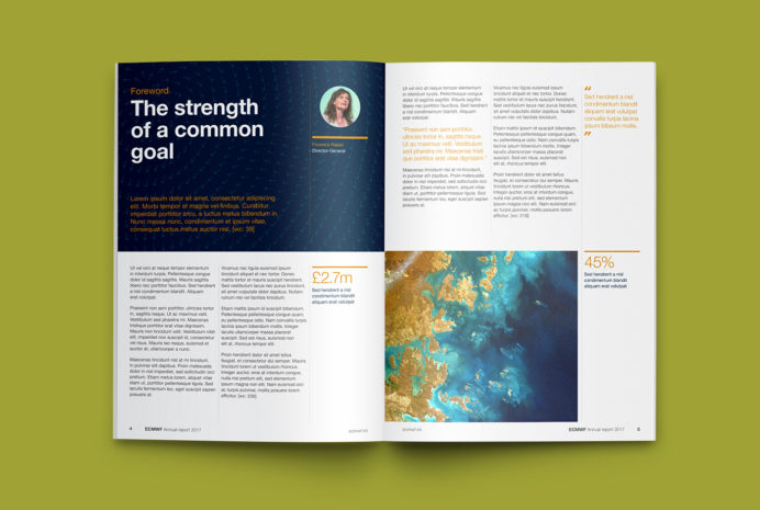 Ecmwf Brand Review 1400X940 Guidelines 2 8