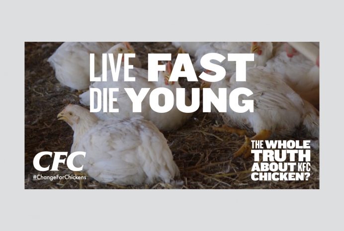 Wap Kfc Social 1400X940 02