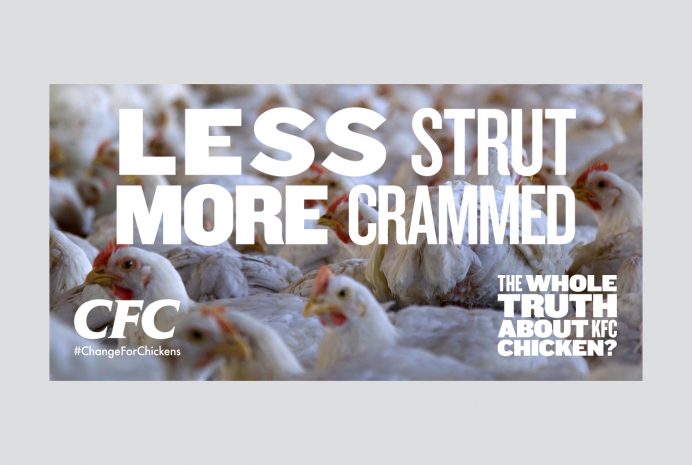 Wap Kfc Social 1400X940 06